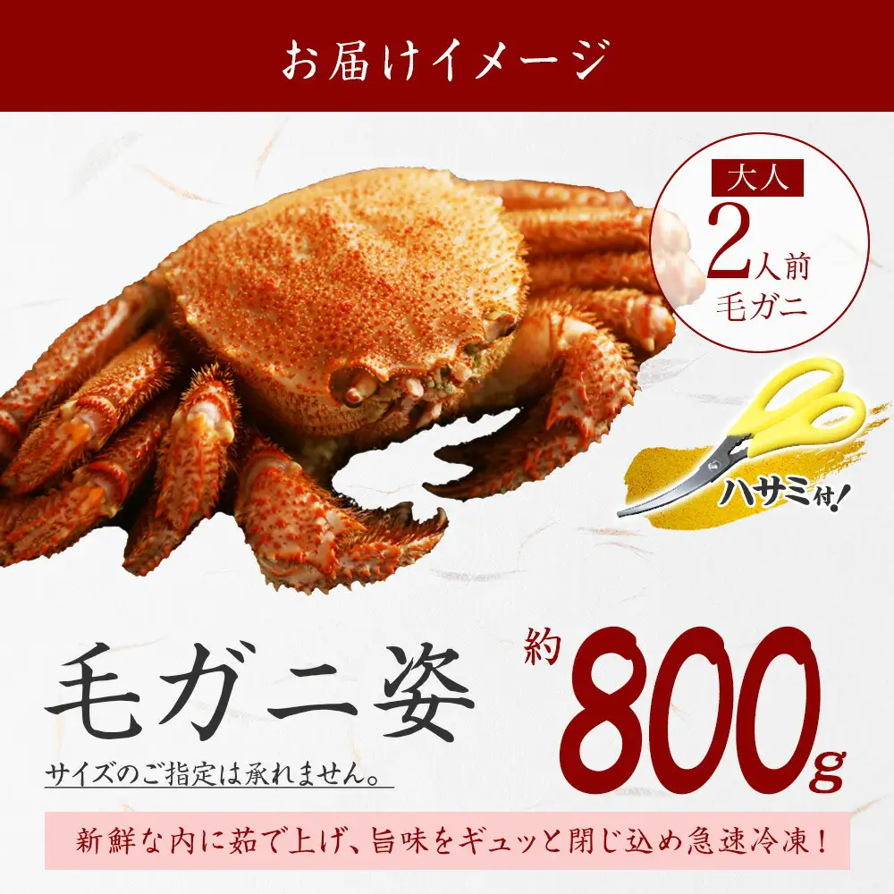 3302. ボイル毛蟹姿 800g 食べ方ガイド・専用ハサミ付 カニ かに 蟹 海鮮 送料無料 北海道 弟子屈町