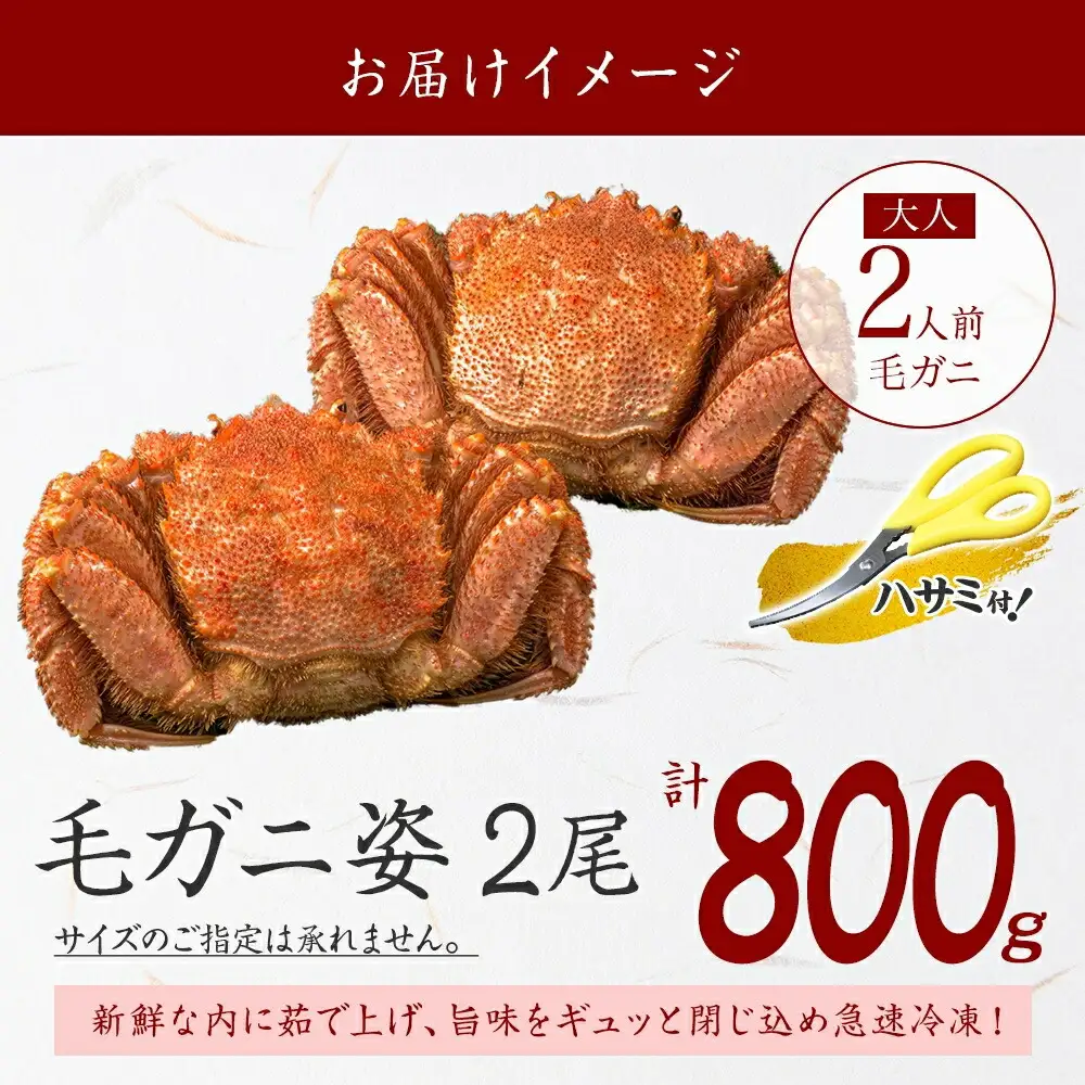 カニ 蟹 毛蟹 2尾 計800g前後 食べ方ガイド・専用ハサミ付 カニ かに 蟹 海鮮 ボイル カニ 蟹 海鮮  魚介 北海道 3357