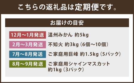 【定期便 4回コース】時津の果物定期便 みかんとぶどうの町から贈る 特産品の定期便 定期便 4回 果物 くだもの フルーツ シャインマスカット 巨峰 みかん 不知火