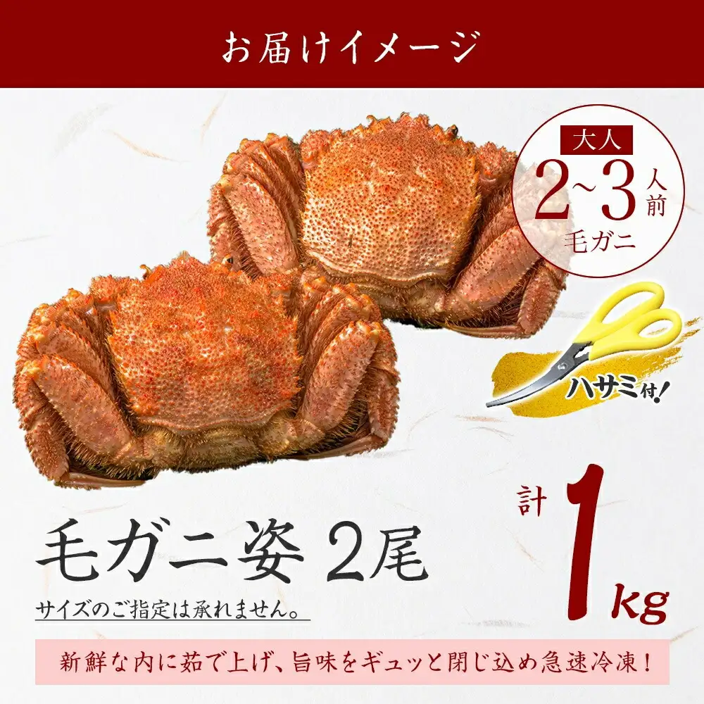 3319.毛蟹 2尾 計1kg前後 食べ方ガイド・専用ハサミ付 カニ かに 蟹 海鮮 ボイル 送料無料 北海道 弟子屈町