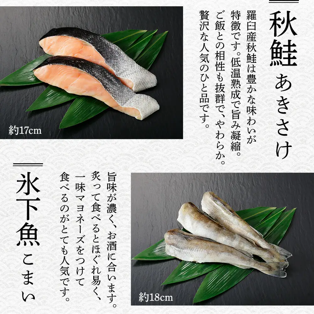 ふっくらやわらか 干物 9点セット 真ホッケ サンマ カレイ イワシ 秋鮭 コマイ ニシン サバ 秋刀魚 宗八鰈 鰯 鮭 鰊 鯖 海鮮 ほっけ 送料無料 北海道 魚介 干物 秋刀魚 鮭 2918