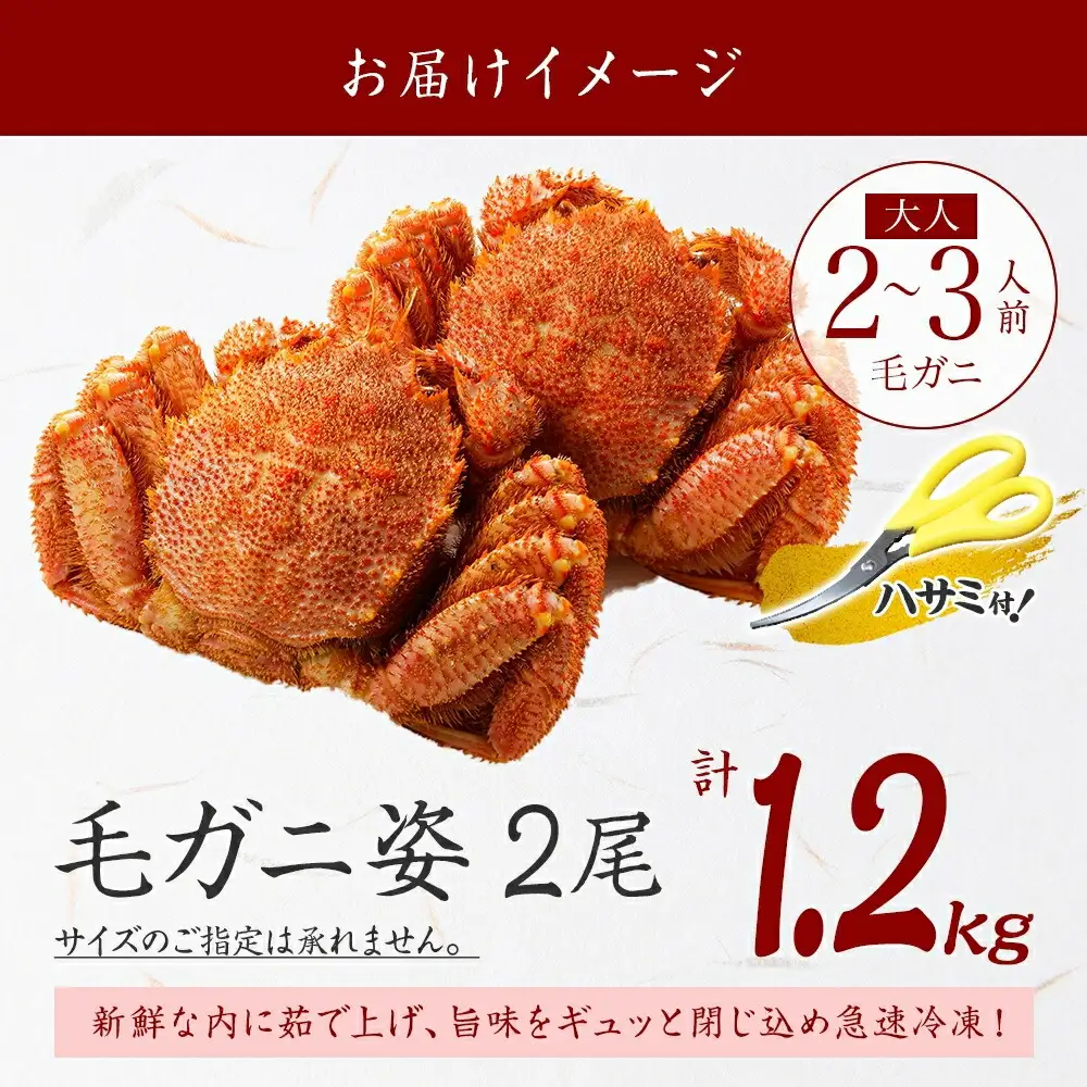 3335.毛蟹 2尾 計1.2kg前後 食べ方ガイド・専用ハサミ付 カニ かに 蟹 海鮮 ボイル 送料無料  北海道 弟子屈町