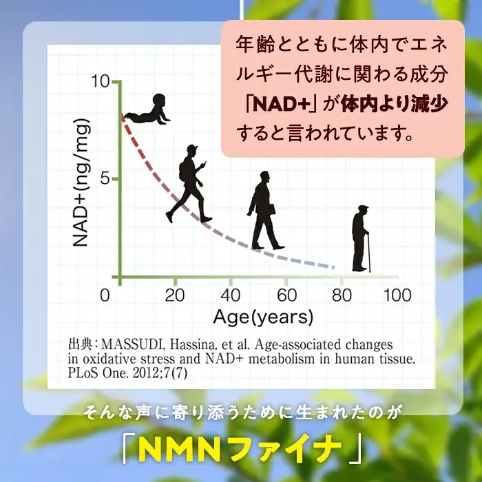 NMNファイナ サプリメント 完全国内生産 (約30日分・計180粒) 健康サポート 高純度 【GM001】【三菱商事ライフサイエンス (株)】
