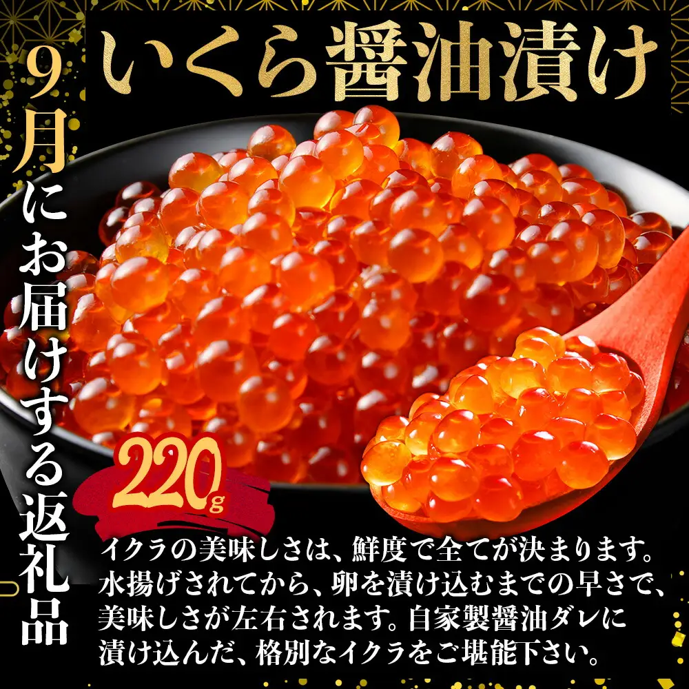■定期便■ 3287. 北海道なまらうめぇ 頒布会 ズワイ 紅ズワイ いくら 醤油漬け ホタテ サーモン キムチ 塩辛 海鮮味噌鍋 蟹 かに カニ 海鮮 鍋 100000円 北海道 弟子屈町