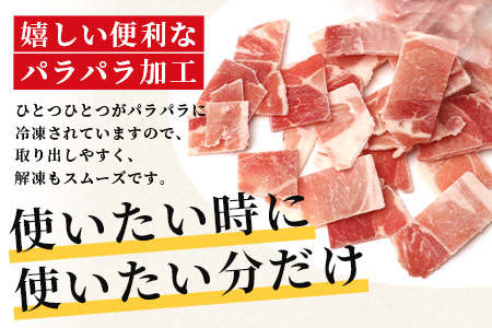 訳あり SPF芳寿豚 小間切れ大容量満足セット1kg×5袋【合計5kg】【業務用サイズでボリューム重視の方におすすめ】【料理に便利】豚肉 こま切れ 切落し 切り落とし C-90