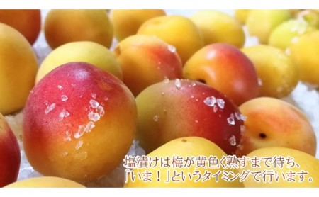 昔ながらの梅干し 一級品（福井県若狭町）伝統製法にこだわり仕上げた無添加・無着色の梅干し／ケース入り400g ご飯のお供 肉厚 種が小さい 紅映 天然塩 鮮やか 芳醇な香り コク 紫蘇漬け 二度漬け すっぱい 