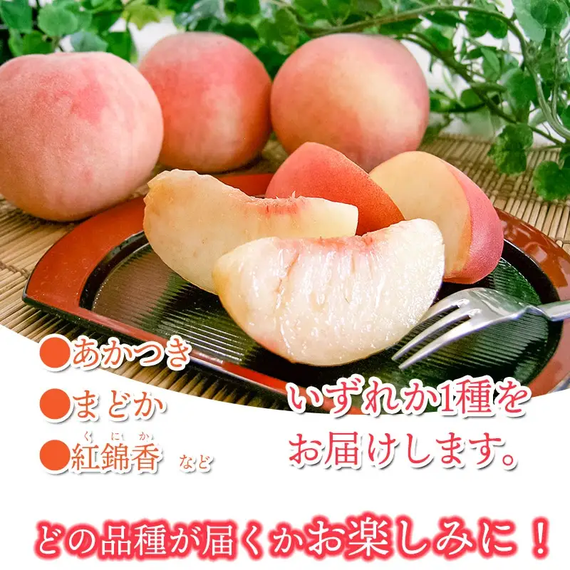 【令和8年産先行予約】 桃 品種おまかせ 5kg(15玉～18玉) 山形県鶴岡市産　株式会社 元青果