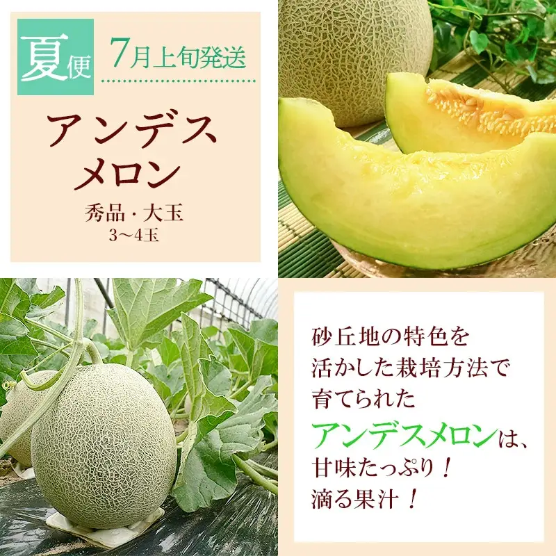【令和8年産先行予約】 鶴岡から春夏秋のフルーツ定期便【3回お届け】山形県鶴岡産　株式会社 元青果