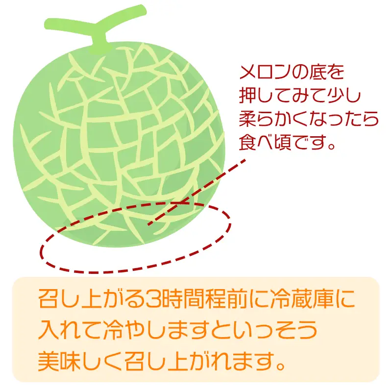 【令和8年産先行予約】 メロン好きのメロン定期便 【3回お届け】 山形県鶴岡市産　株式会社 元青果　| メロン めろん 山形 鶴岡 庄内 庄内産 東北 フルーツ 果物 くだもの 夏 旬 人気 おすすめ 美味しい お取り寄せ 返礼品