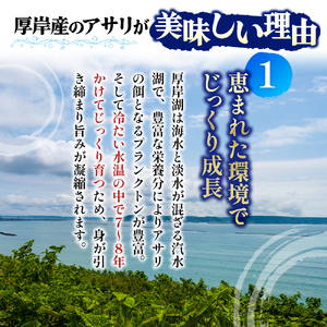あさり 漁師から直で仕入れ！厚岸産の大きなあさり 1kg 海鮮 旨味 ミネラル豊富 タウリン アサリ みそ汁 酒蒸し 砂出し済 