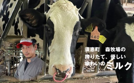 ジェラート ミルク 9個 森牧場搾りたて | ジェラート アイス デザート スイーツ おやつ