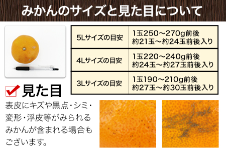  訳あり 大粒みかん 6kg  5L～3Lサイズ 《2027年1月中旬-2月末頃出荷》 みかん 訳ありみかん 熊本県産みかん 大容量