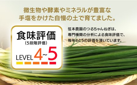 弦本農園のこだわりのつるちゃんねぎ 80g×10束 | 葱 ねぎ ネギ 小葱 小
