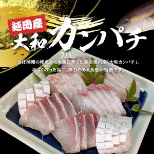 高級大和カンパチお造り4人前 約320ｇ N072-YA2288