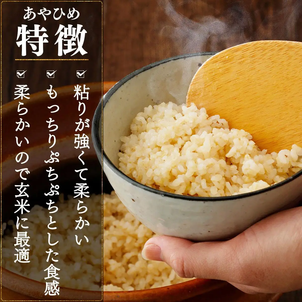 令和7年産 北海道岩見沢市産 あやひめ玄米5kg ≪沖縄・離島配送不可≫