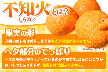 不知火 約 4.5kg～ 5kg みかん《2027年2月下旬-4月下旬頃出荷》熊本県産(荒尾市産含む) 柑橘 フルーツ フレッシュフーズ 不知火 果物 デコポン と同品種 送料無料 果物 シラヌヒ シラヌイ フレッシュフーズ 美味しい不知火 旬の不知火 ジューシー不知火 フルーツ不知火