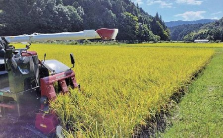 令和6年度 関ケ原町中挾地区限定米 コシヒカリ 精米 3kg 白米