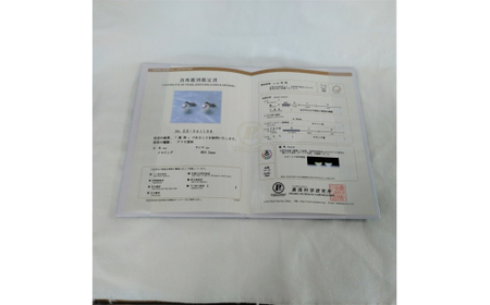 500-15伊勢志摩あこや本真珠イヤリング9mm花珠(真珠科学研究所鑑別書)