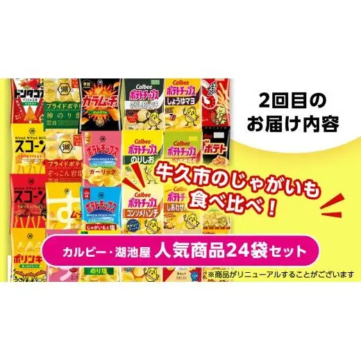 【 スナック菓子 3ヶ月 定期便 】 カルビー 湖池屋 人気 48袋 詰め合わせ バラエティ セット