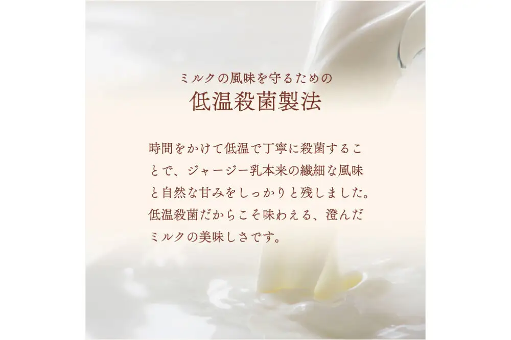 ジェラテリア TiG（ティグ）イタリアンジェラート 無着色・無香料 ミルキージャージー 2000ml（2L）