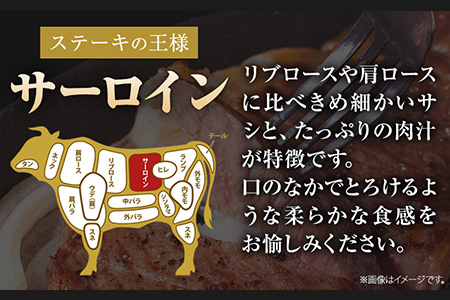 くまもと黒毛和牛 サーロインステーキ 500g ( 250g x 2枚 ) 牛肉 冷凍 《30日以内に出荷予定(土日祝除く)》 くまもと黒毛和牛 黒毛和牛 冷凍庫 個別 取分け 小分け 個包装 ステーキ肉 にも サーロインステーキ 美味しい牛肉 熊本牛肉 ジューシー牛肉 贅沢な牛肉 