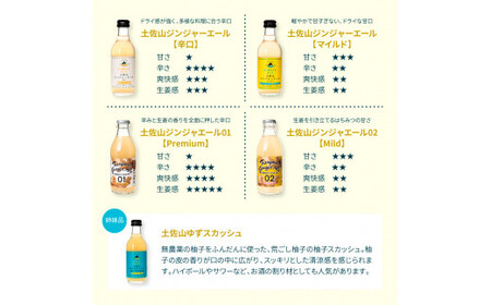 土佐山ジンジャーエール辛口20本セット 