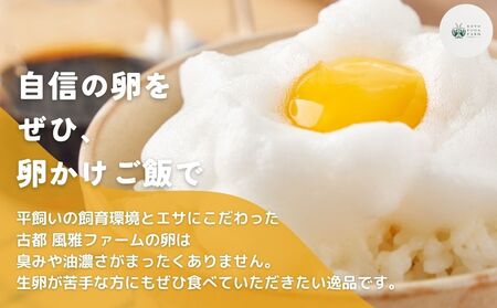 【毎月定期便／3ヶ月】平飼い飛鳥の卵 40個／ 卵 たまご 玉子 生卵 鶏卵 生たまご たまごかけごはん 卵焼き 目玉焼き 冷蔵 チルド 古都風雅ファーム 奈良県 宇陀市