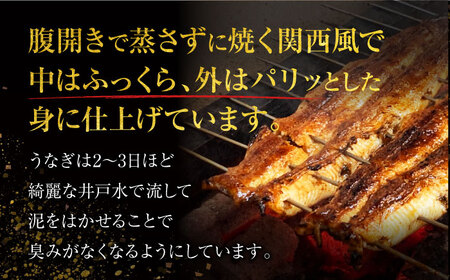 うなぎ 蒲焼き 1尾 多治見市/澤千 鰻 かば焼き ひつまぶし[TDD003]