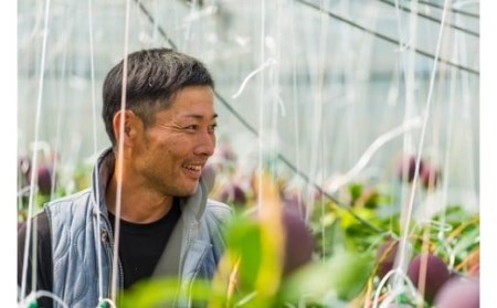 【生産者直送】濃厚完熟!まっちゃんマンゴー（2～3玉 800g～1kg程度）【2026年5月中旬頃から6月初旬発送】 B-118