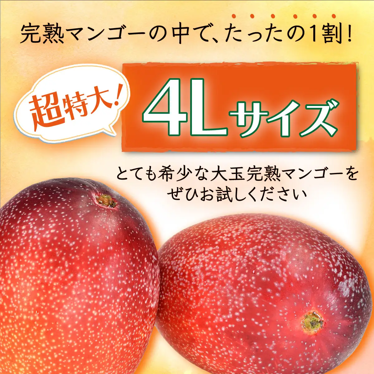   厳選！濃厚完熟マンゴー L・2Lサイズ（糖度15度以上）【2026年5月中旬頃から6月初旬発送】 B-406