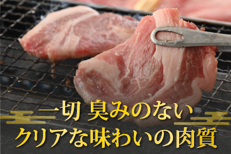 【福井のブランド豚肉】荒島ポーク食べ比べ焼き肉セット３点盛 1.4kg