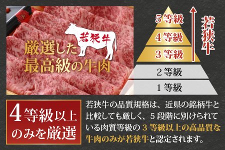 【福井のブランド牛肉＆ブランド豚肉】若狭牛と荒島ポーク 焼き肉セット 650g 