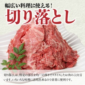 宮崎牛 切り落とし500g N0140-YA2294