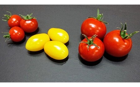 フルーツトマト「太陽のめぐみ」2kg（フルティカ＆ティポ）ALPBI003 | トマト 高糖度 トマト フルーツトマト おすすめ トマト 産地直送 新鮮 フレッシュ 高栄養素 南アルプス市 山梨 |