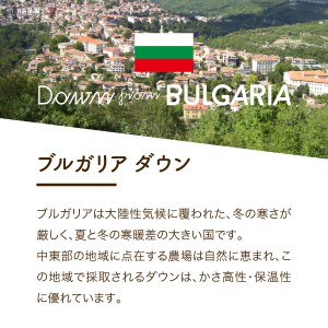  【創業100年】匠がつくる羽毛合い掛けふとん（シングル）ピンク 羽毛布団 寝具 掛けふとん 布団 匠
