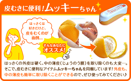 はっさく 皮むきに便利なムッキーちゃん付き 約5kg ときわオンライン【先行予約】《2026年10月上旬-2027年2月中旬頃出荷》 和歌山県 紀の川市 フルーツ 果物 八朔 柑橘 送料無料