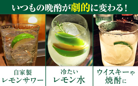 グリーンレモン 約5kg ときわオンライン【先行予約】《2026年10月上旬-2027年2月末頃出荷》 柑橘 和歌山県 紀の川市 フルーツ 果物 レモン グリーンレモン 檸檬 送料無料