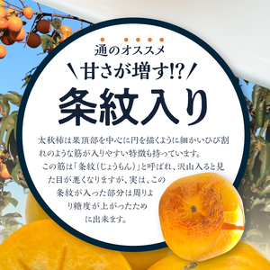 【10月発送】池尻農園　太秋柿　9玉～14玉　約3kg_柿 甘柿 太秋柿 9玉 ～ 14玉 約 3kg 種が少ない 池尻農園 シャキシャキとした食感 さっぱり 多汁 高い糖度 国産 フルーツ 果物 福岡県 久留米市 お取り寄せ お取り寄せフルーツ 食品 食べ物 送料無料 〔Fk012〕