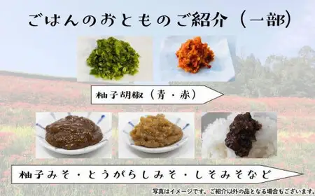 【福岡八女・奥八女】里山の恵み　お野菜＆手仕込みセット定期便【全３回】※配送不可：北海道と離島（沖縄本島を含む） 072-T065