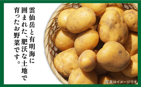 【6回定期便】野菜定期便 10品目以上 野菜定期便 / ミナサポ  [SCW046]