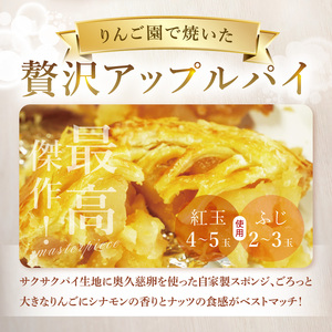 藤田観光りんご園】りんご園で焼いた贅沢アップルパイ（ホールサイズ