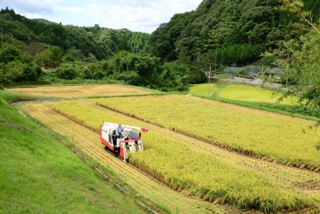 【 定期便3ヶ月連続 】 令和7年産 里山新見のめぐみ あきたこまち 10kg(5kg×2袋)