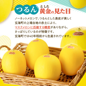 ★予約受付★（2026年5月以降発送）玄海町産キンショウメロン 4個 ／ メロン【A033】