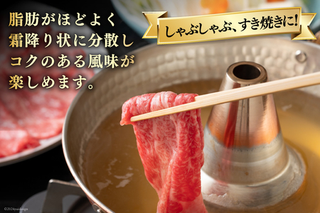 牛肉 宮崎牛 モモ スライス 500g ×2 計 1kg [ローカルブランディング 宮崎県 美郷町 31bb0031]