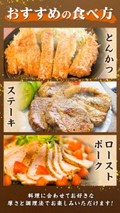 熊本県産 りんどう豚 ブロック 4.4kg 株式会社フジフード《30日以内に出荷予定(土日祝除く)》 熊本県 菊池市 豚肉 ブロック肉 ロース 肩ロース 九州産 国産