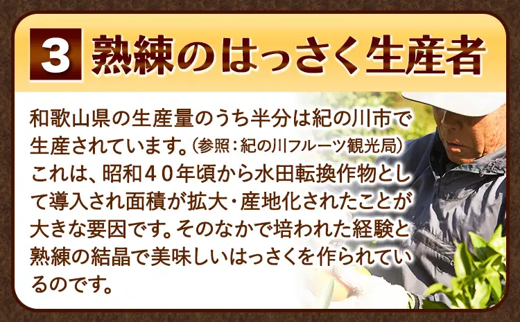 ご家庭用 はっさく 約10kg (サイズ不選別)