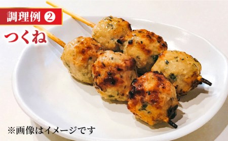 【全6回定期便】＜佐賀牛100%！＞佐賀牛 A5ランク ミンチ 1kg（500g×2） ハンバーグ はんばーぐ[FCX015]