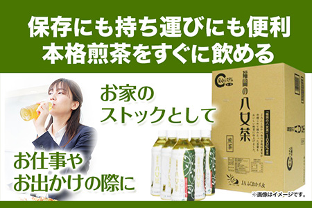 八女茶 煎茶ペットボトル 500ml×24本 株式会社親和園《30日以内に出荷予定(土日祝除く)》福岡県 鞍手郡 鞍手町 お茶 緑茶 茶 八女茶 ペットボトル 送料無料