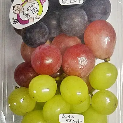 【2026年先行予約】ぶどう食べ比べ 3種セット 約420g 姫野農園 | ぶどう食べ比べ