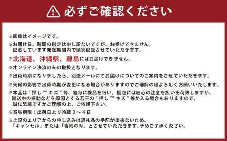 葡萄詰合せ（シャインマスカット 晴王 1房（580g以上）・ニューピオーネ 2房（1房 580g以上） ハウス栽培【2026年7月上旬～8月上旬まで順次発送予定】葡萄 ぶどう ブドウ ピオーネ マスカット フルーツ
